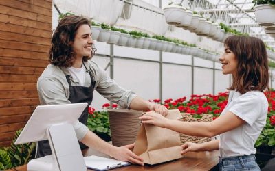 The Million Dollar Question of Selling Strategies for Your Roseville Metropolitan Area Business